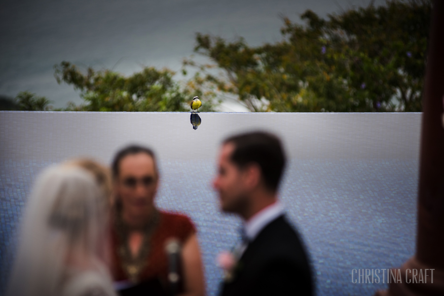 Wedding photographer at the pool at Zephyr Palace in Costa Rica