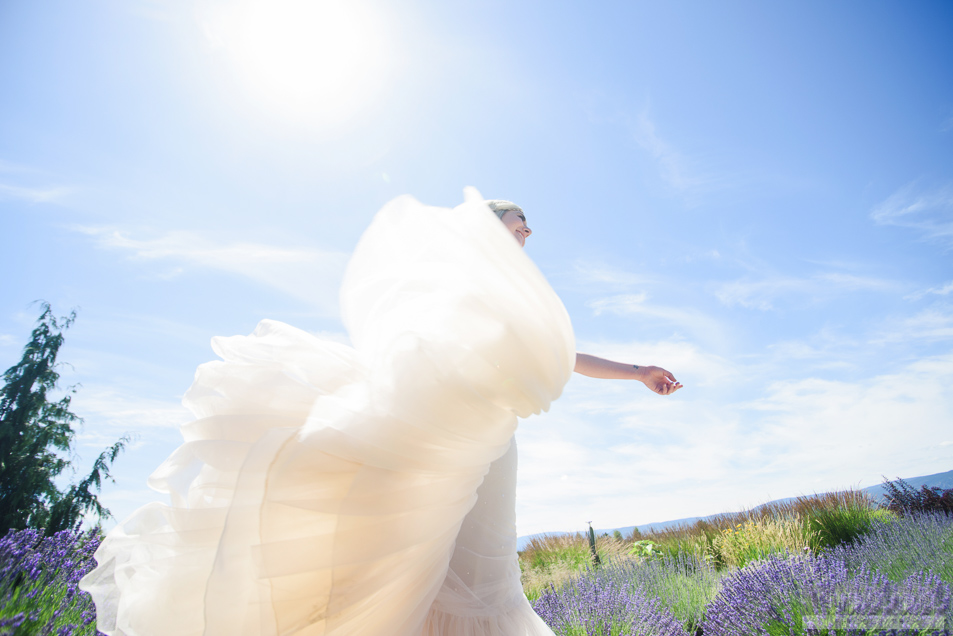 Kelowna Lavender Farm Wedding Photographers