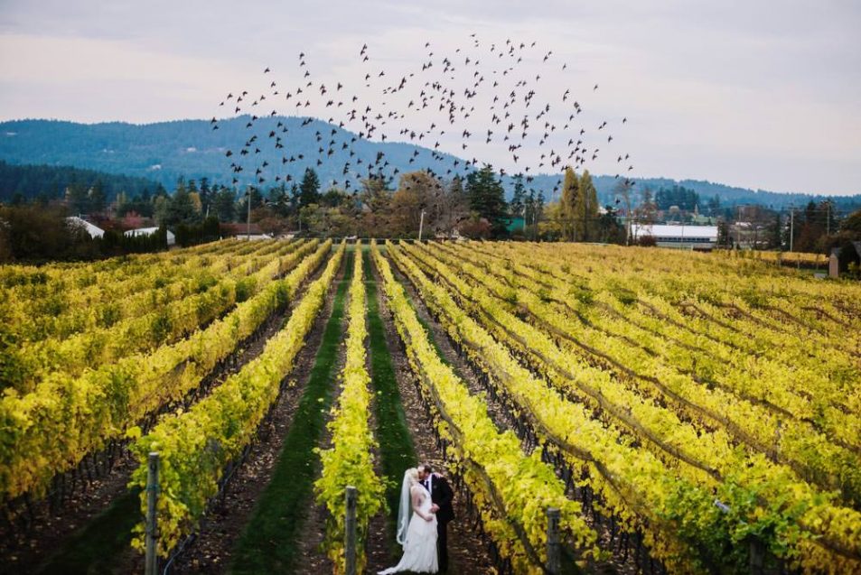 Church and State Wedding Photography