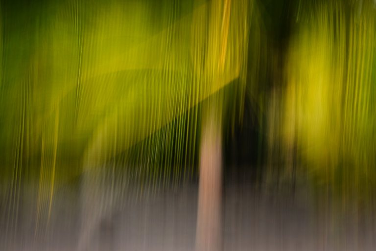 Intentional Camera Movement