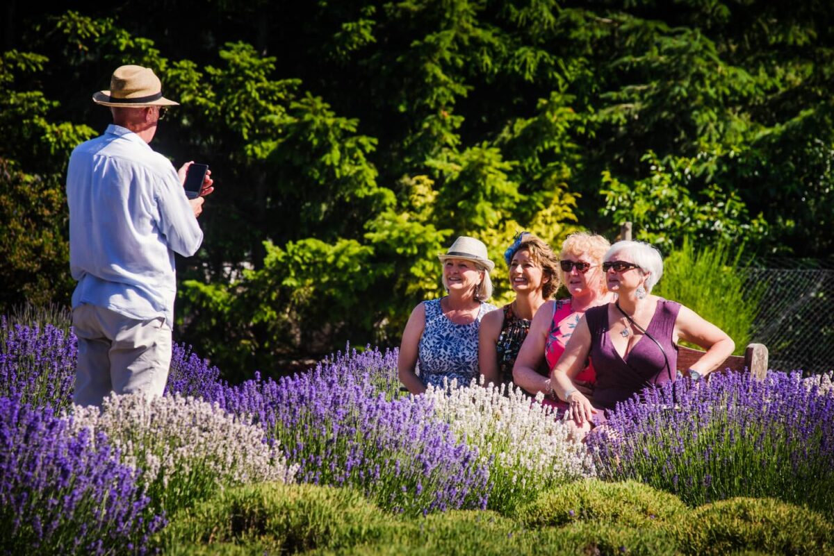 A wedding in the lavender fields at Bilston Creek Farm in Victoria BC