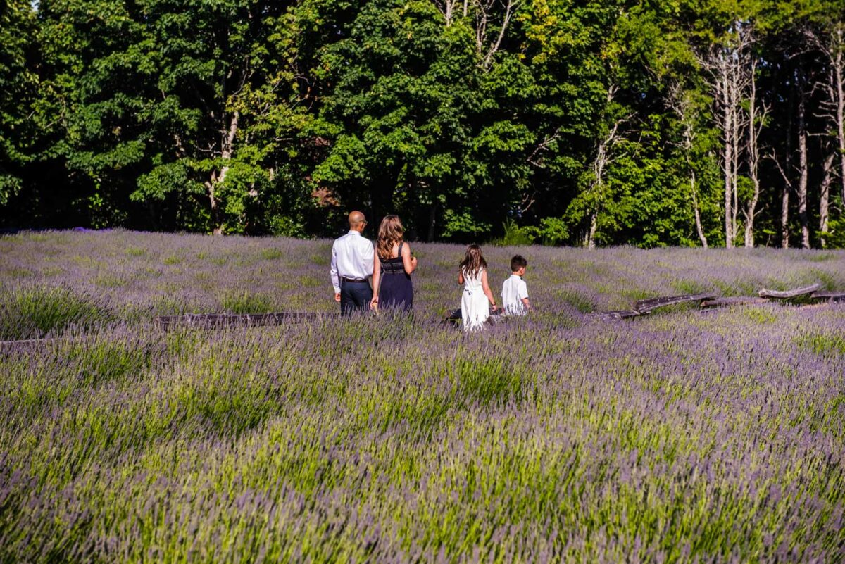 Lavender fields wedding at Bilston Creek Farm in Victoria BC