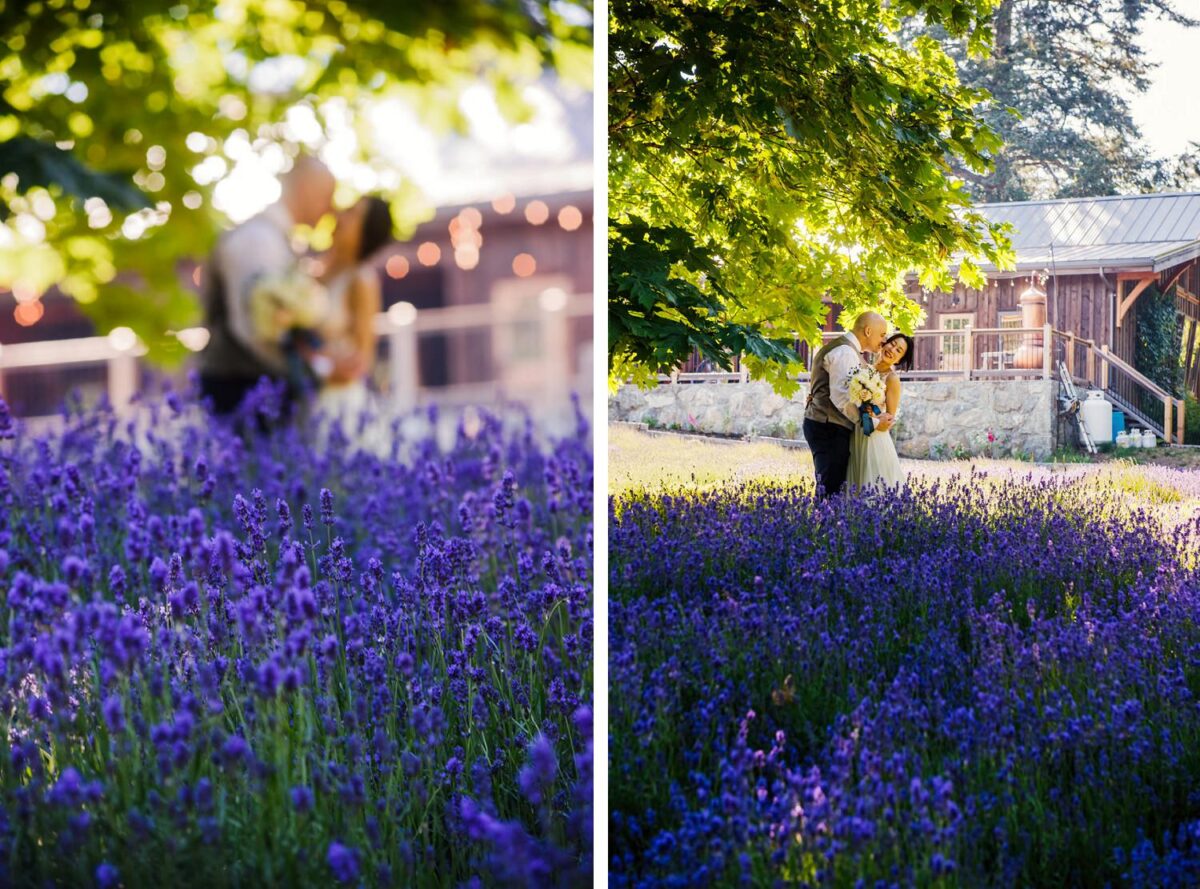 Victoria BC Lavender Farm portraits at Bilston Creek