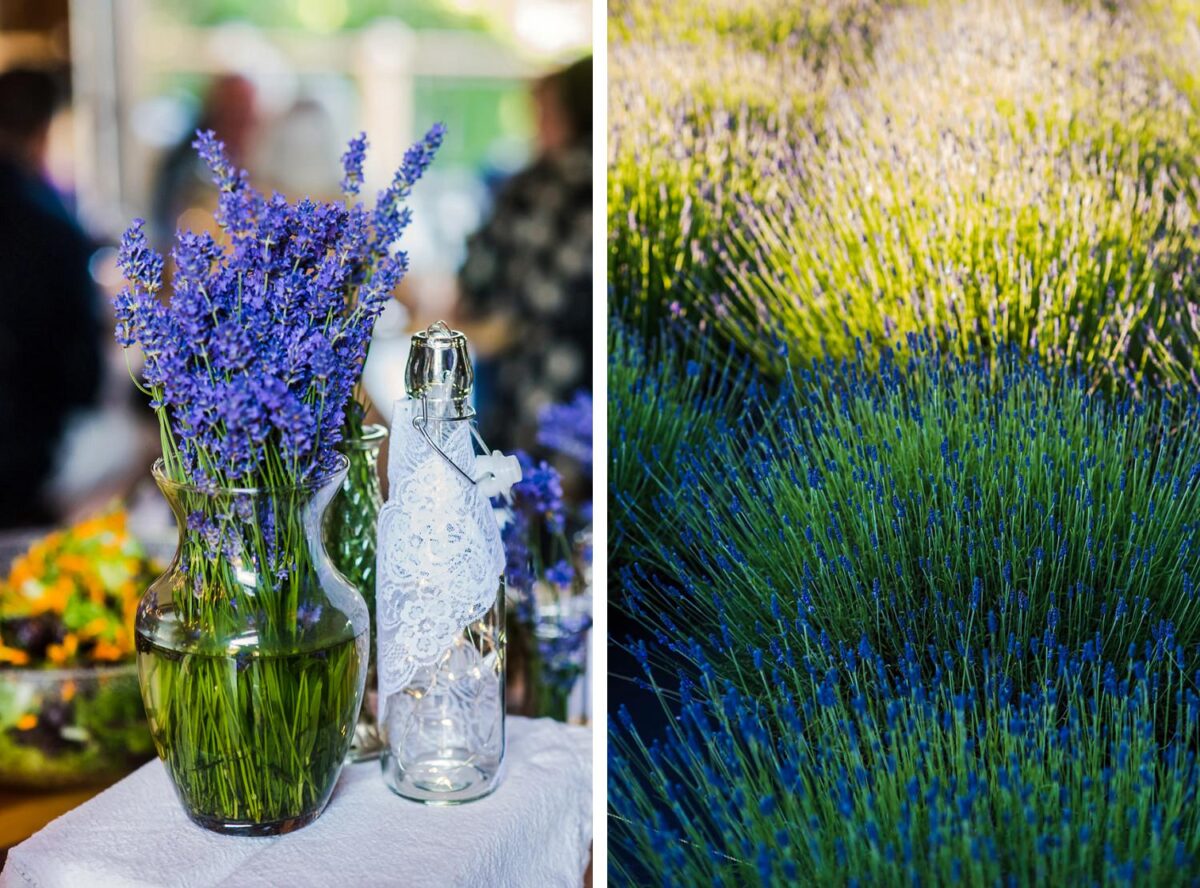 Victoria BC Bilston Creek Lavender Farm wedding ceremony