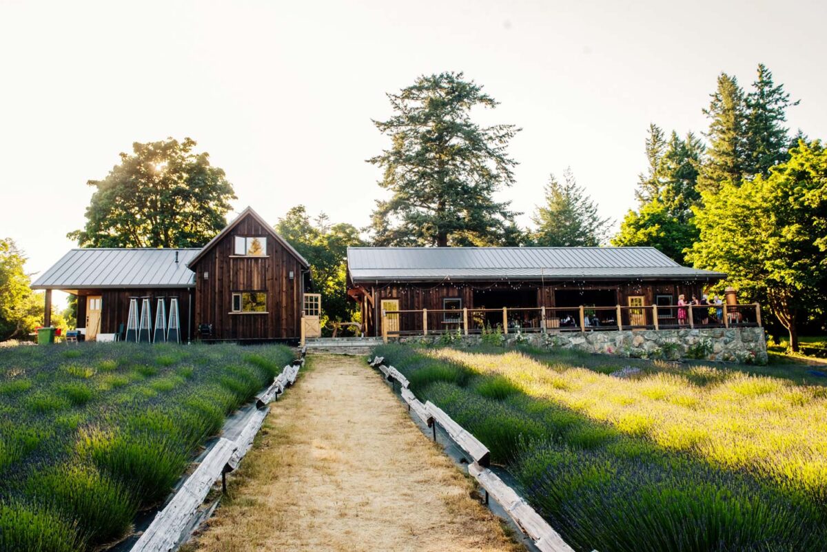 Victoria BC Bilston Creek Lavender Farm wedding ceremony