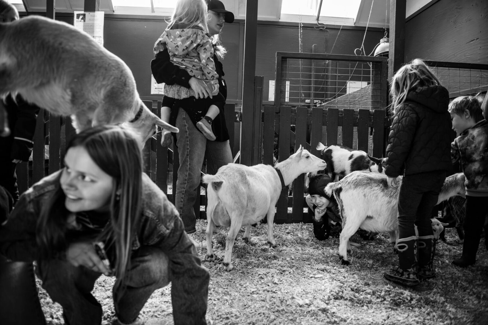 Black and white photojournalism documentary photograph of people and kids playing at the Beacon Hill Children's Farm petting zoo with lots of hay and goats.