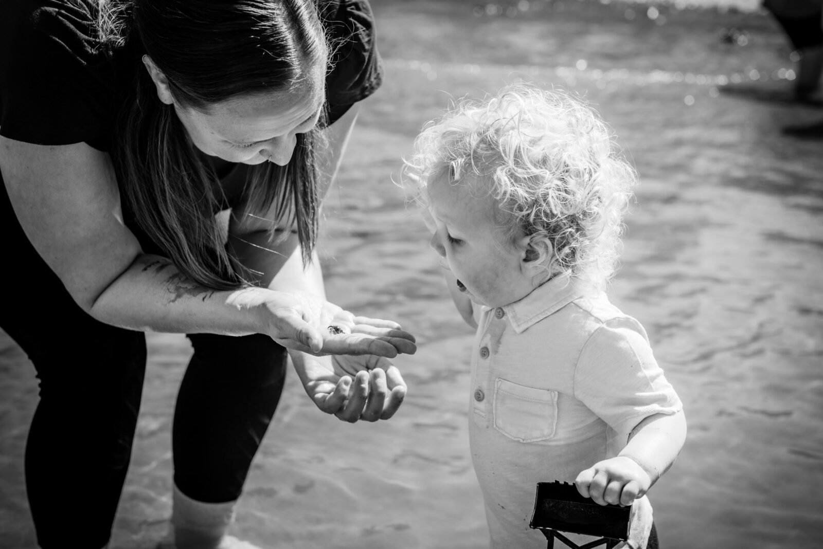 A candid photo of a toddler looking at a crab with his mother in Victoria BC