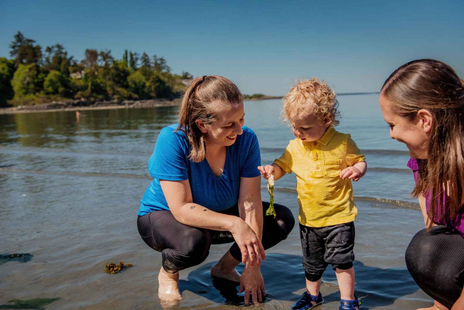 A documentary family photo moment of a toddler with his moms playing with seaweed at Hollydene Beach in Victoria BC