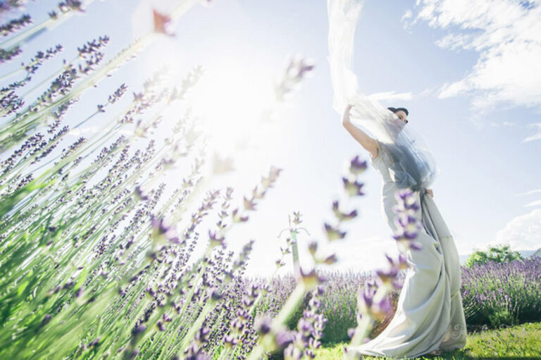 Lavender field wedding photo